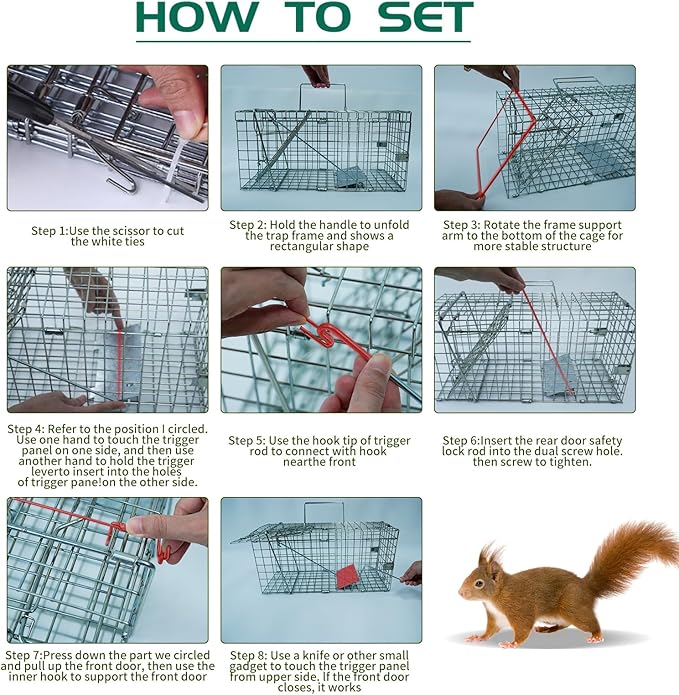 Humane Live Animal Trap for Squirrels, Chipmunks, Rats, Rabbits & Small Cats – Heavy-Duty Steel Mesh Cage for Safe Catch & Release 17.3” x 7.9” x 8.3” (Large（1pack）)