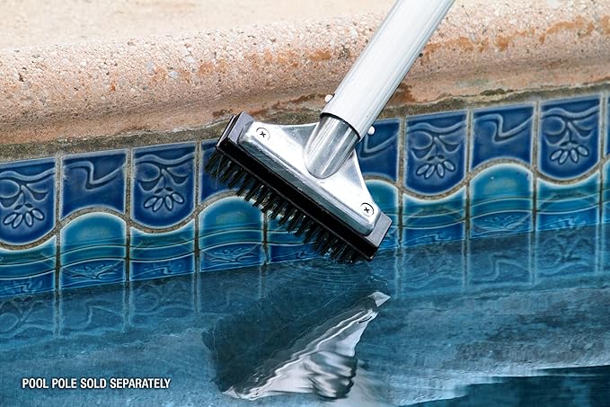 Poolmaster 5-Inch Stainless Steel Pool Algae Detail Brush, Heavy-Duty Aluminum Back, for Gunite Concrete Pools and Spas, Small Narrow Head for Corners, Steps and Tight Areas