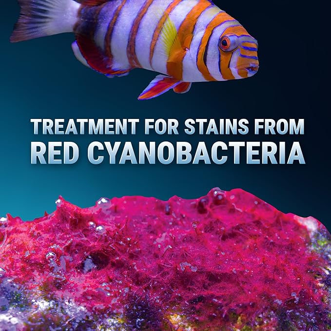 Fritz Aquatics Slime Out Treatment for Stains from Red Cyanobacteria in Fresh or Saltwater Aquariums (20-Count)