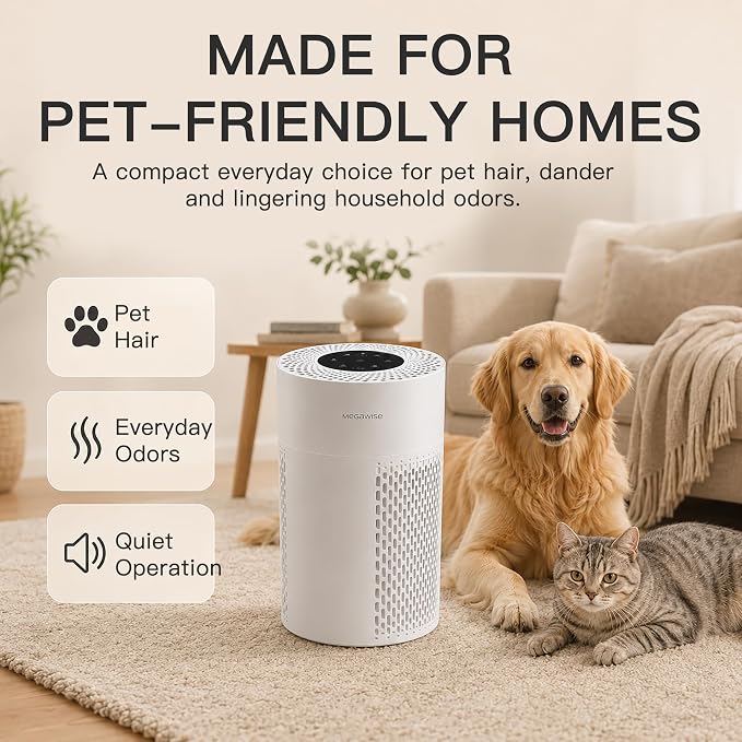 MEGAWISE Air Purifier EPI235A for Small Rooms | H13 True HEPA Filter | Removes Dust, Smoke, Pet Hair | Ideal for Home, Office, Bedroom
