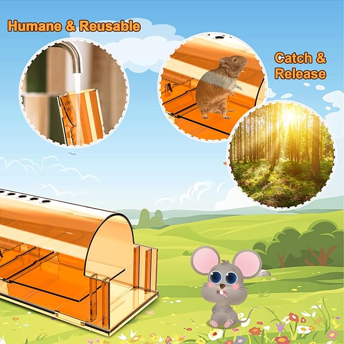 4 Pack Humane Mouse Traps Indoor for Home, Live Mouse Traps No Kill, Reusable Mice Small Rat Trap Catcher for House & Outdoors