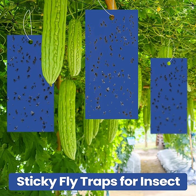 Qualirey 100 Pcs 7.87 x 3.9 Inch Blue Sticky Traps for Thrips Double Sided Sticky Trap for Gnats Plant,Thrips, Aphids, and Black Flies with Twist Ties,Indoor and Outdoor