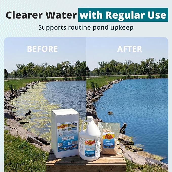 TLC Farm Pond Treatment – PondPerfect Liquid & EcoSock Dual System, Pond Bacteria for Larger Outdoor Ponds – 1 Box Treats Up to 1/4 Acre – 4 Gallon + 4 EcoSock