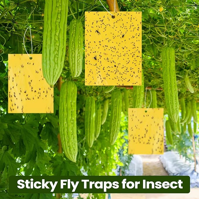 Qualirey 900 Pcs 6x8 Inch Yellow Sticky Traps for Gnats, Dual-Sided Sticky Gnat Traps for Indoor Outdoor, Fly Catcher for Fungus Gnats, Fruit Flies, Whiteflies– Bulk Pack with Twist Ties