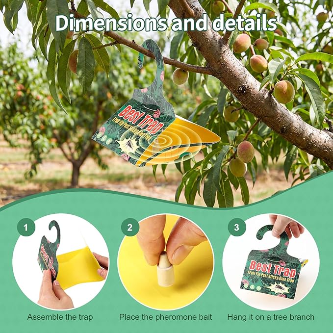 12 Pack niponensis & Clearwing Moth Traps with Pheromone Lures – Triangular Hanging Sticky for Peach Trees, Includes 12 Traps & 12 Lures, for Orchard & Garden Use