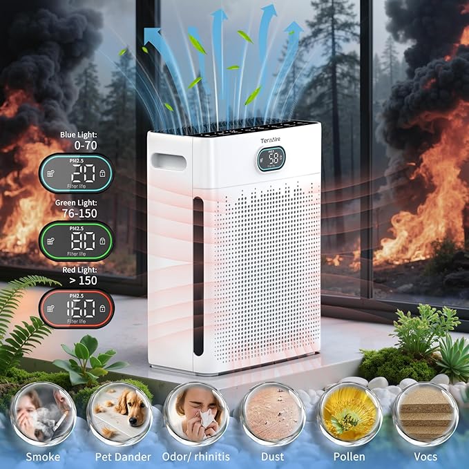 Air Purifiers for Home, PM 2.5 Air Quality Monitor Cover Up to 2200 Ft² with Pet mode, Timer, H13 HEPA Air Purifier with Washable Pre-filter, Fragrance Sponge for Smoke, Odor, Dander, Pollen (Black)