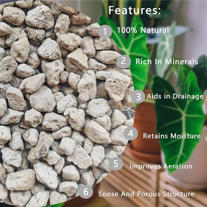 Horticultural Pumice for Plants 2QT, Natural Organic Pumice Stones for Succulent Cactus Bonsai Tree Orchid Potting Mixed, Improves Soil Aeration and Drainage, Promotes Root