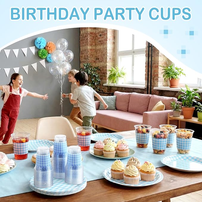 Qinyoung Checkered Plastic Cups 12oz Gingham Party Disposable Cups Bulk Drinking Cup for Cold Drinks Baby Shower Wedding Summer Birthday Party Supplies(Blue and White,100 Pcs)