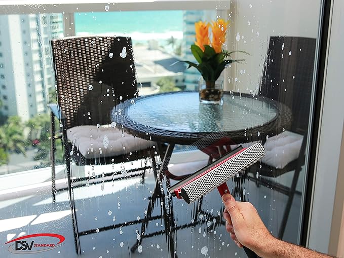 DSV Standard Window Squeegee 8'' and Car Wash Brush 10''