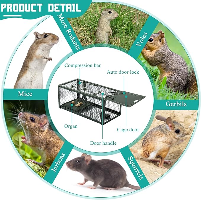 Qualirey 2 Pcs Live Rat Trap Humane Mouse Trap Mice Rat Cage Work for Small Animal Indoor and Outdoor Mouse Voles Hamsters Catch and Release(Green)