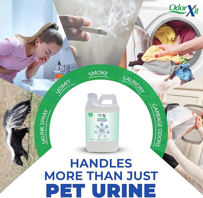 Concentrated Pet Urine Odor Eliminator, Ideal for Cat, Dog Poo and Urine Smell, Versatile & Natural Odor Neutralizer for Home and Outdoor Use, Deodorizer & Absorber, Concentrate, 64oz