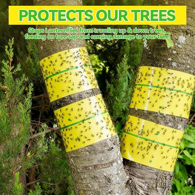 10 Rolls Fly Strips Tape 30 ft Each Fly Paper Traps Indoor Outdoor Sticky Hanging Spotted Lanternfly Tree Tape for Fruitfly Plant Barn Stable(Fluorescent Yellow,Green Lines)