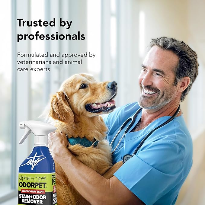 OdorPet Pet Stain Remover and Odor Eliminator - 16 Oz Ready To Use Spray, Non Staining, Professional Strength, Black Cherry Scent by Alpha Tech Pet