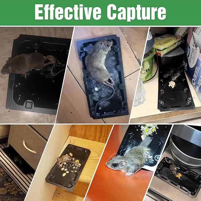 4 Pcs Humane Mouse Traps No Kill Reusable,12 Pack Peanut Taste Pheromone Sticky Mouse Trap Rat Traps Indoor for Home