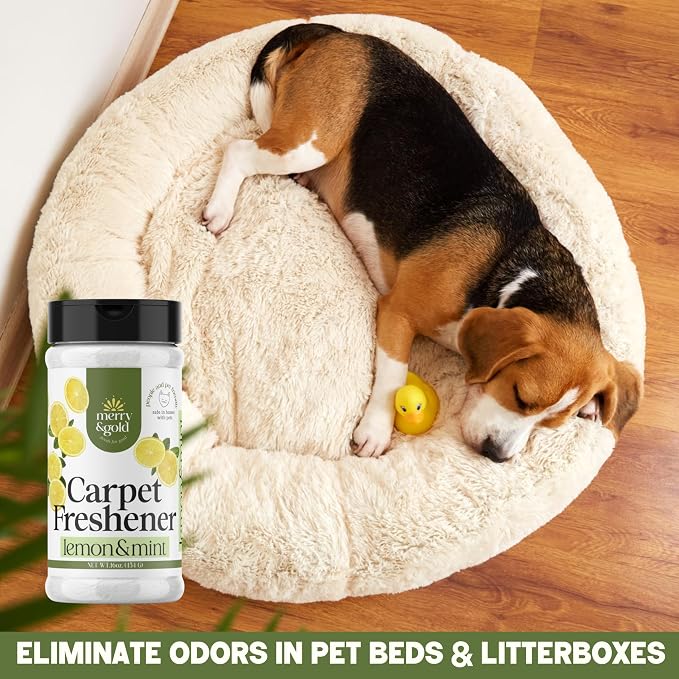 Carpet Deodorizer & Freshener Powder, Lemon + Mint, Shakers 16 oz | 2 Pack, Pet Odor Eliminator for Strong Odors & Pet Urine, Safe for Homes with Pets, Made in USA
