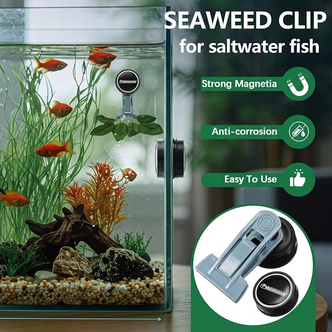 Blulu 1 Pcs Magnetic Seaweed Feeding Clips Saltwater Aquarium Tank Accessories Algae Magnet Seaweed Feeder for Fish and Aquatic Pets, Automatic Fish Feeder