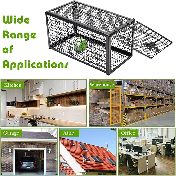 Qualirey 2 Pcs Humane Rat Trap Chipmunk Rodent Mouse Squirrel Trap 11 x 6 x 6 Inches Small Live Animal Mouse Voles Hamsters Live Cage Rat Cage for Mice Easy to Catch and Release, Black