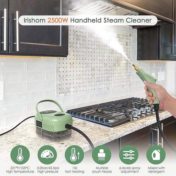 2500W Steam Cleaner, High Pressure High Temperature Steam Cleaning Machine, 1000ml, 3 Bar with 3 Brush Heads (Green)