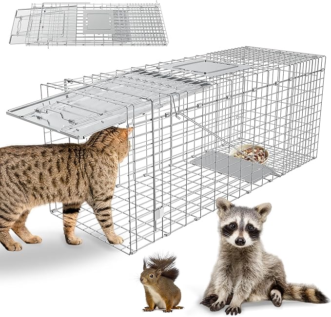 Humane Live Animal Trap, Heavy Duty Folding Raccoon Traps Cage for Cat, Squirrel, Skunk, Raccoon, Fox Catch and Release Large Size 31.1 * 11 * 12.6 Inch