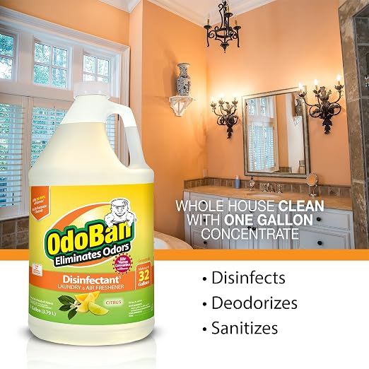 OdoBan Ready-to-Use Disinfectant and Odor Eliminator, Set of 3, 32 oz Spray, 1 Gallon Concentrate and 14 oz Solid Odor Absorber, Citrus Scent