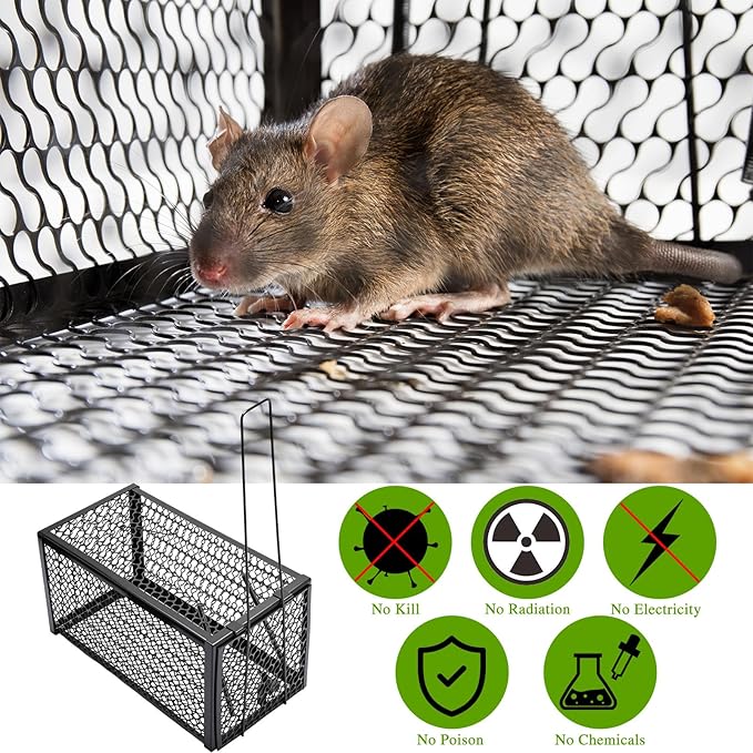 Qualirey 2 Pcs Humane Rat Trap Chipmunk Rodent Mouse Squirrel Trap 11 x 6 x 6 Inches Small Live Animal Mouse Voles Hamsters Live Cage Rat Cage for Mice Easy to Catch and Release, Black