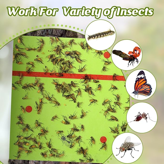 Qualirey 50 Rolls Spotted Lantern Fly Traps 30 Feet Each Roll Fly Tree Trap Sticky Strips Outdoor Fruit Glue Strips Disposable Tape Indoor Paper Sheets for Protecting Trees (Green)