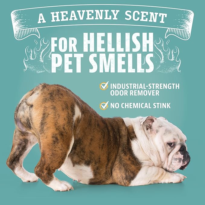 ANGRY ORANGE Pet Odor & Stain Remover - Orange Rush Scent - 24oz Odor Eliminator + 32oz Enzyme Cleaner for Dog & Cat Urine, Carpet Stains & Strong Smells
