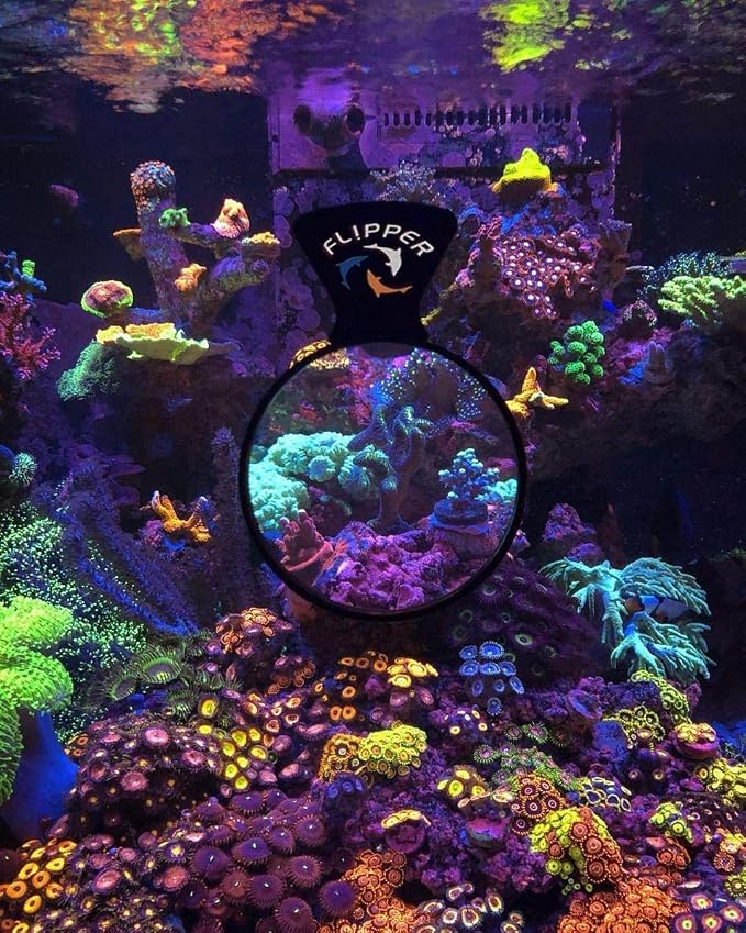 Flipper DeepSee Aquarium Magnifier Magnetic Viewer & Orange Filter Lens – Fish Tank Magnifying Glass – Magnetic Magnifying Glass Ideal for Photography - Flipper Fish Tank Accessories, 5"