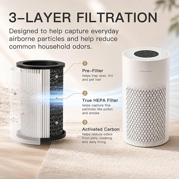 MEGAWISE Updated Version Air Purifier (1, Medium)