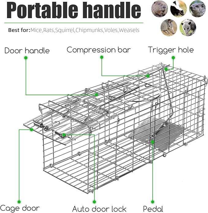 Humane Rat Trap Outdoor Indoor Collapsible Mouse Trap Chipmunk Traps Small Rodents Animal Mice Vole Hamsters Live Cage,Heavy Duty Metal & Reusable Easy to Catch and Release,2 Pack