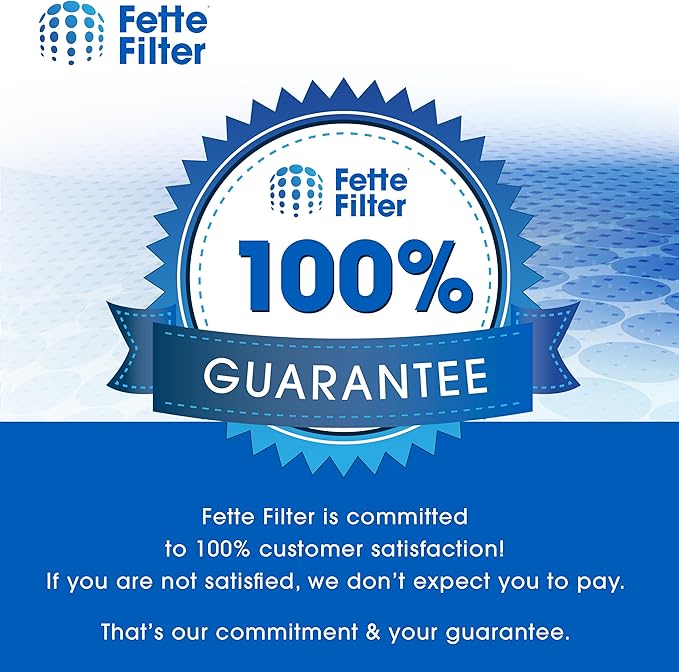Fette Filter - 112 Premium H13 True HEPA Replacement Filter Compatible with Medify MA Air Purifier for Model 112 V2.0 wtih 3-in-1 filtration system. (Pack of 2)
