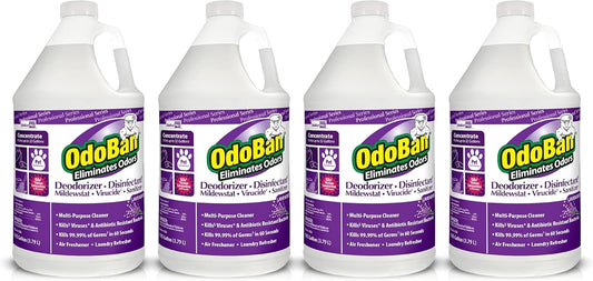 OdoBan Professional Disinfectant and Odor Eliminator Concentrate, Made in the USA, Lavender Scent, 4-Pack, 1 Gallon Each