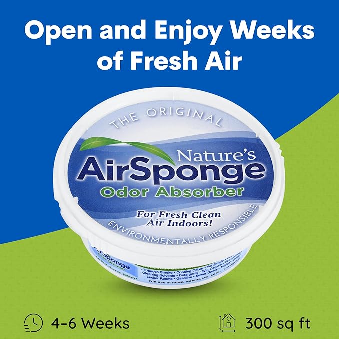 ODOR ABSORBER 0.5LB 1PK
