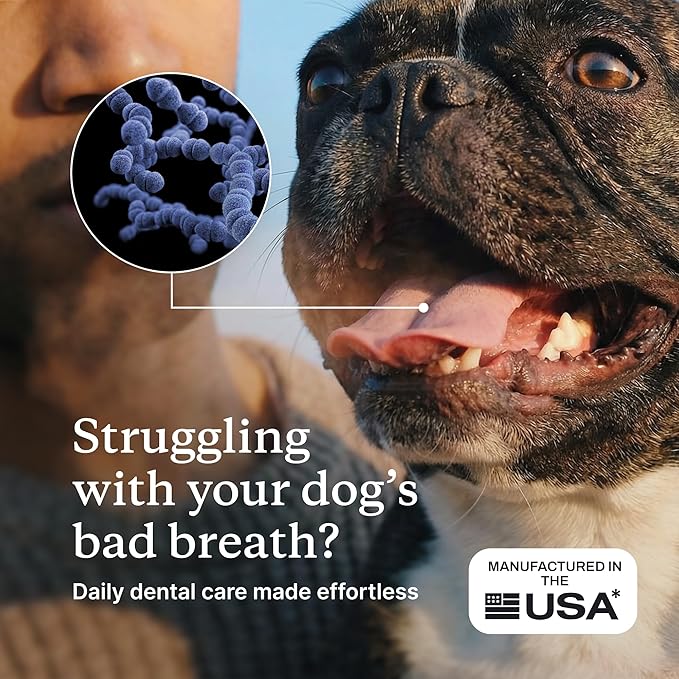 PetLab Co. ProBright Dental Powder - Dog Breath Freshener - Teeth Cleaning Made Easy – Targets Tartar & Bad Breath - Formulated for Large Dogs - Packaging May Vary