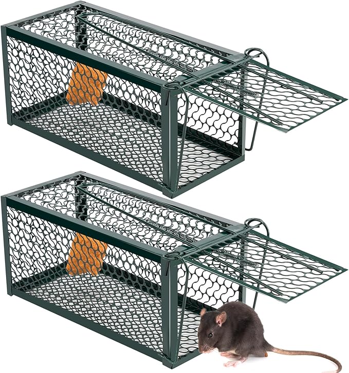 Qualirey 2 Pcs Humane Rat Trap Chipmunk Rodent Mouse Squirrel Trap 9.1 x 4.5 x 4.5 Inches Live Animal Mouse Voles Hamsters Live Cage Rat Cage for Mice Easy to Catch and Release (Green)