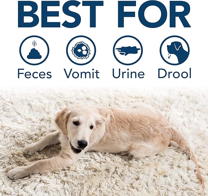 Simple Solution Stain & Odor Eliminator for Pets, Dog Stain Remover, Cat Urine Cleaner, Carpet Deodorizer, Pet Odor Eliminator for Home, Urine Destroyer, Carpet Cleaner Spray, Fresh Floral, 32 oz