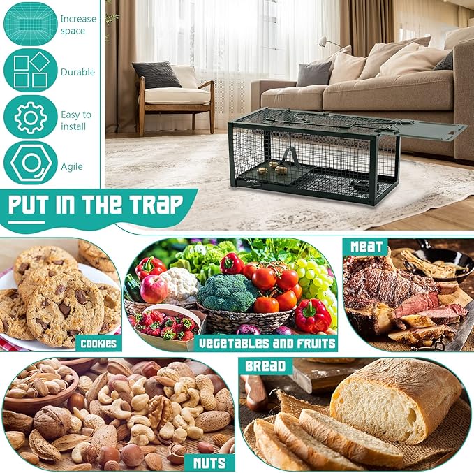 Qualirey 2 Pcs Live Rat Trap Humane Mouse Trap Mice Rat Cage Work for Small Animal Indoor and Outdoor Mouse Voles Hamsters Catch and Release(Green)