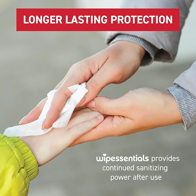 WipeEssentials Hand Sanitizer Wipes for Adults & Kids - 360 Count, 12 Packs | Alcohol-Free, Moisturizing Sanitizing Wipes with Aloe Vera & Vitamin E - Unscented & Travel Size With No Soapy Residue