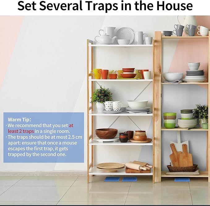 LULUCATCH Mouse & Insect Traps 12 Pack, Heavier Sticky Traps with Non-Toxic Glue for Small Mice & Insects. Sticky Mouse Traps Indoor for Home, Easy to Set