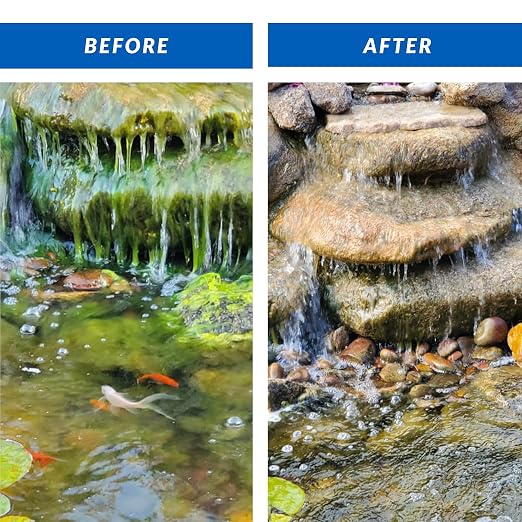 CrystalClear Algae D-Solv EPA Registered Pond Algaecide, 16 oz | Fast-Acting algae control for fountains & outdoor ponds containing koi & other fish, 16 oz treats 5,760 gallons.