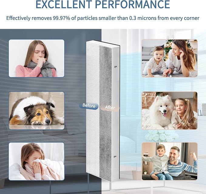 Zouwhaso 3+6 Aera Max 100 HEPA Filter Replacement Compatible with Fellowes AeraMax 90 100 DX5 DB5 Air Puri-fier True HEPA Air Filter, Part# 9287001 9324001, 3x H13 True HEPA and 6x car-bon Pre-Filter