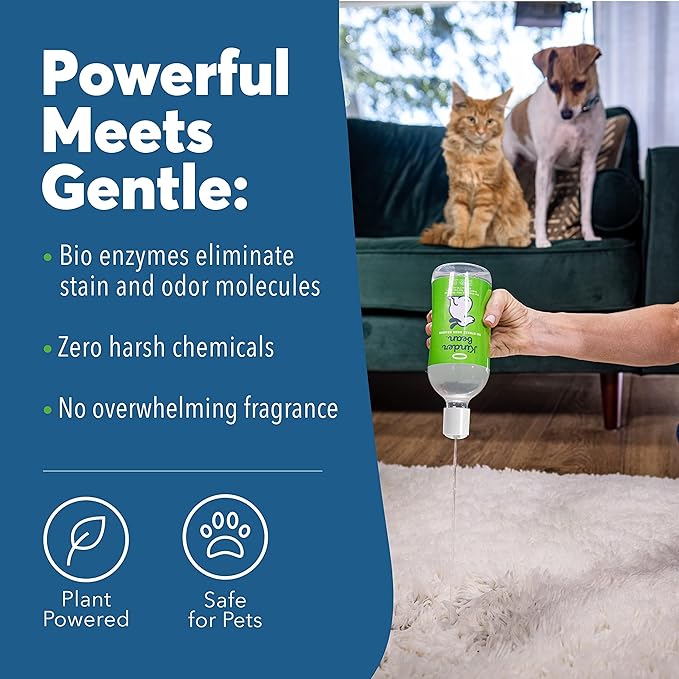 No-Stress Mess Eraser – Dog & Cat Urine Stain & Odor Remover, 2-Pack 32 oz, Enzyme Bio-Active Cleaner for Carpet, Upholstery & Car Seats, Helps Remove Pet Smell from Home & Car, Grapefruit & Thyme