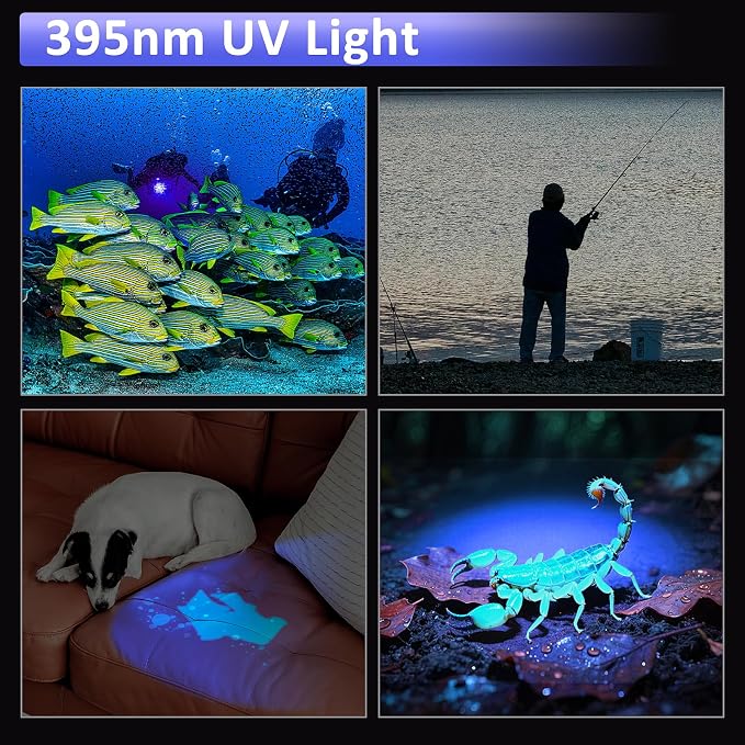 WINDFIRE Dive Light, 395 nm UV Scuba Flashlight, Waterproof Black Light Flashlight with Power Indicator for Scuba Diving, Underwater Fluorescence & Pet Urine Detection