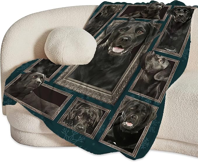 Labrador Retriever Dog Blanket - Cute Throw for Girls, Women, Kids, Adults - Soft Warm Cozy Fleece for Couch, Sofa, Bed - 60"x50" - Gifts and Decor