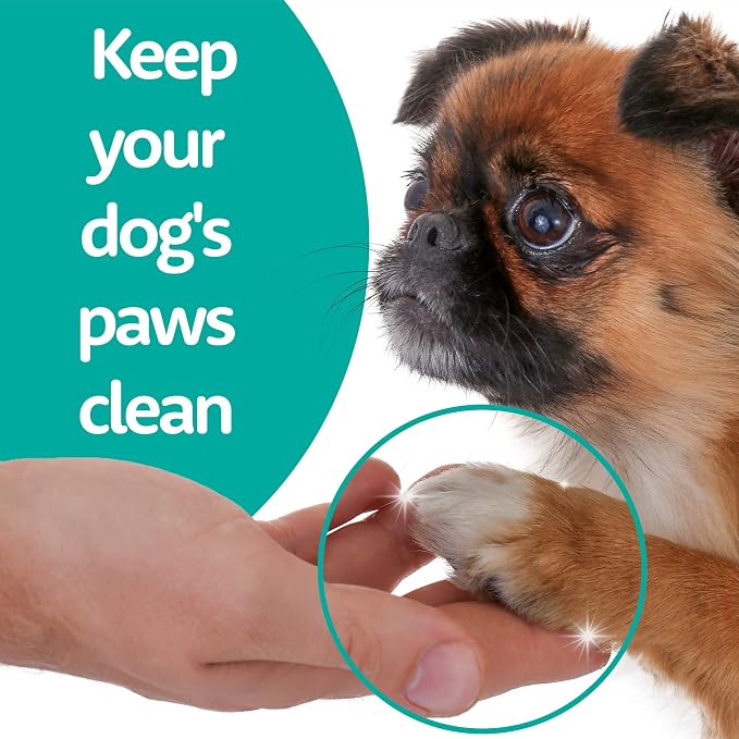 Evergreen Pet Supplies Dog Paw Soak Tablets - Itchy Paws Relief Soak - Tea Tree Oil Anti-Itch Skin Treatment - Convenient Dog Bath Tablets - 100 Count, 4 g Each
