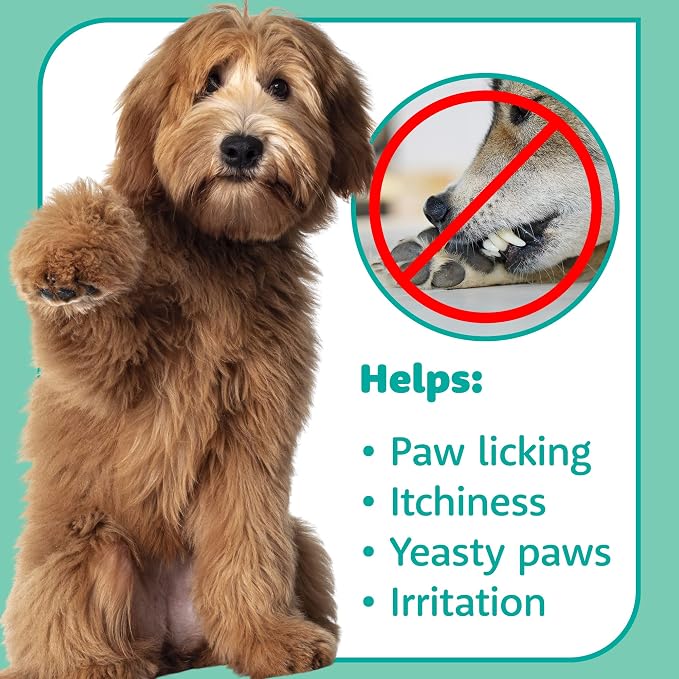 Evergreen Pet Supplies Dog Paw Soak Tablets - Itchy Paws Relief Soak - Tea Tree Oil Anti-Itch Skin Treatment - Convenient Dog Bath Tablets - 100 Count, 4 g Each