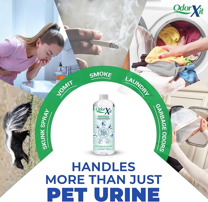 Concentrated Pet Urine Odor Eliminator, Ideal for Cat, Dog Poo and Urine Smell, Versatile & Natural Odor Neutralizer for Home and Outdoor Use, Deodorizer & Absorber, Concentrate, 16oz