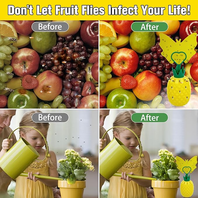 Fruit Fly Trap for Indoors, Effective Fruit Fly Gnat Catcher with Sticker, Gnat Traps for House Indoor with Bait, Reusable Easy-to-Use Fly Trap for Kitchen Home - 4 Pack
