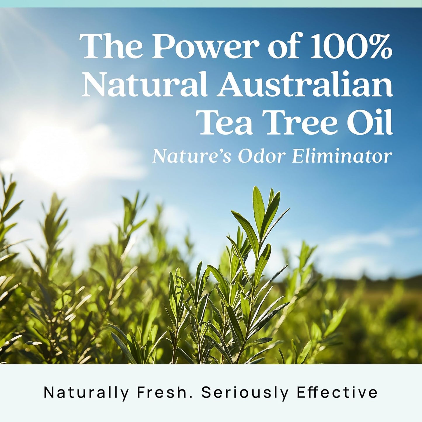 Azuna Air Freshener & Odor Eliminator for Strong Odor | 2 Room Kit Includes (2) 8 oz. Empty Luxe Glass Jars & 12 oz | Refill with Tea Tree Essential Oil Gel | Amalfi Breeze | Last 60-90 Days