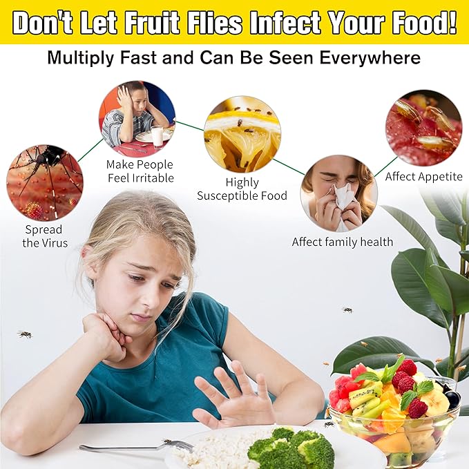Fruit Fly Trap for Indoors, Effective Fruit Fly Catcher Gnat Killer with Sticker, Gnat Traps for House Indoor with Bait, Non-Toxic Reusable Easy to Use Fly Trap for Kitchen Home - 6 Pack
